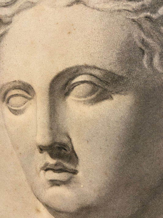 19th century study of a marble bust in graphite, examined South Kensington