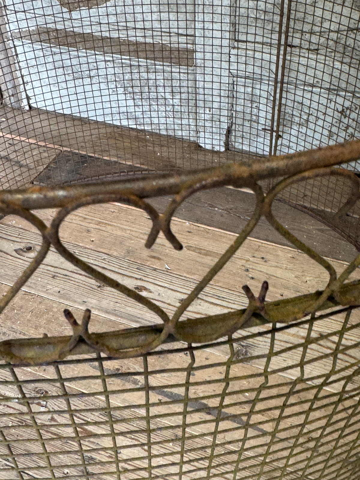 A mid century wire tree guard