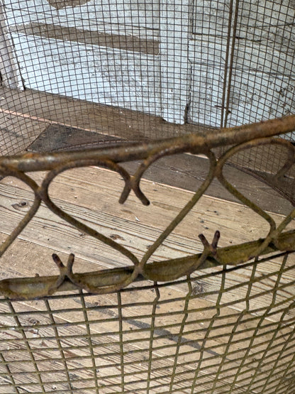 A mid century wire tree guard