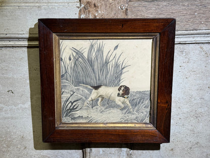 An original 19th century study of an English Pointer standing in reeds in graphite and watercolour