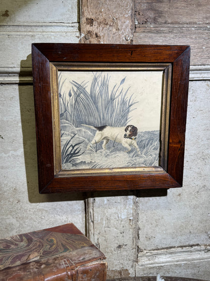 An original 19th century study of an English Pointer standing in reeds in graphite and watercolour
