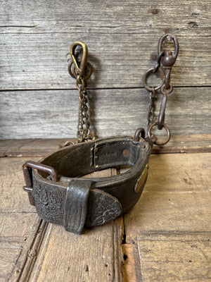 A rare early English 19th century dog collar and lead "Cosher" of the Revenue Police