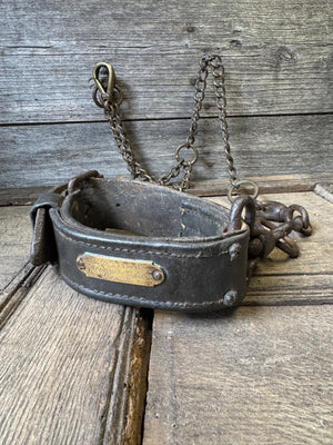 A rare early English 19th century dog collar and lead "Cosher" of the Revenue Police