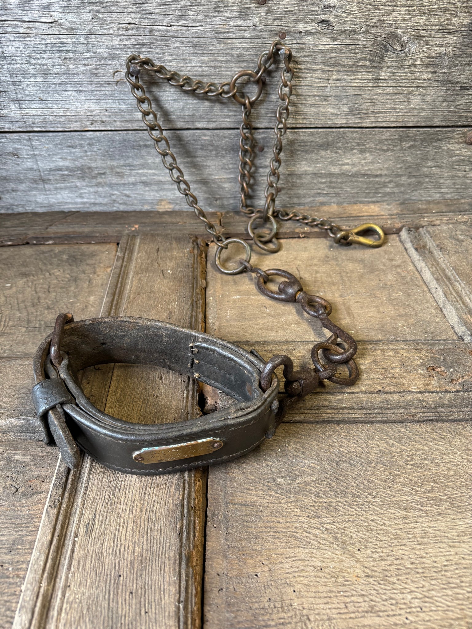 A rare early English 19th century dog collar and lead "Cosher" of the Revenue Police