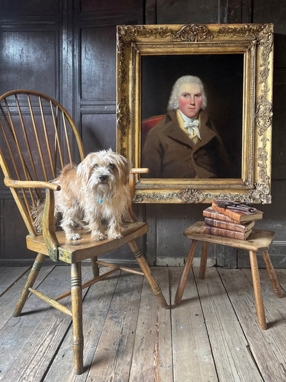 18th century portrait of Dr Thomas Wise of Hillbank, Forfarshire, Scotland