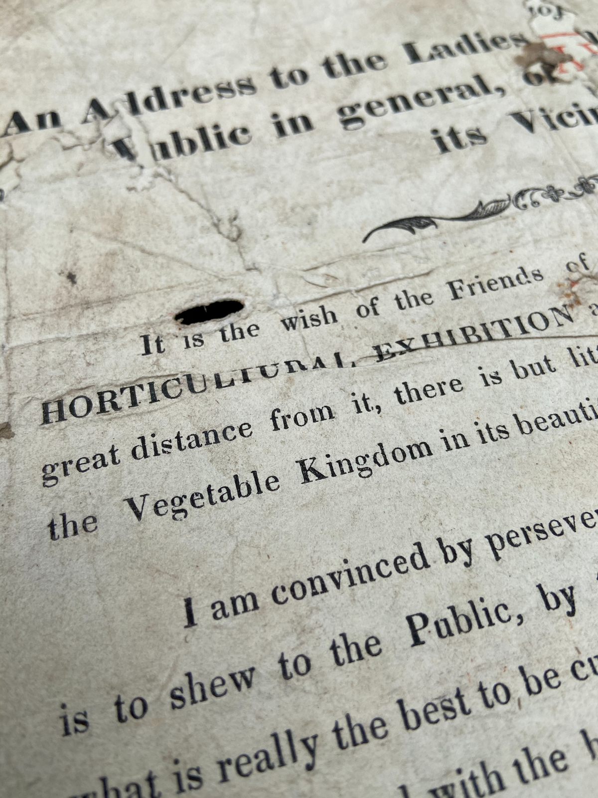 An 1834 horticultural broadside from Dartmouth, Devon