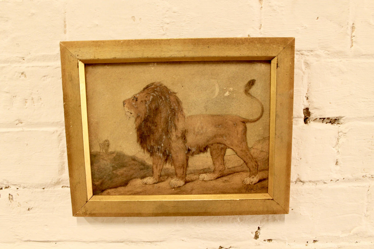 Early 20th c watercolour study of a lion