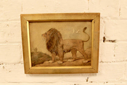 Early 20th c watercolour study of a lion