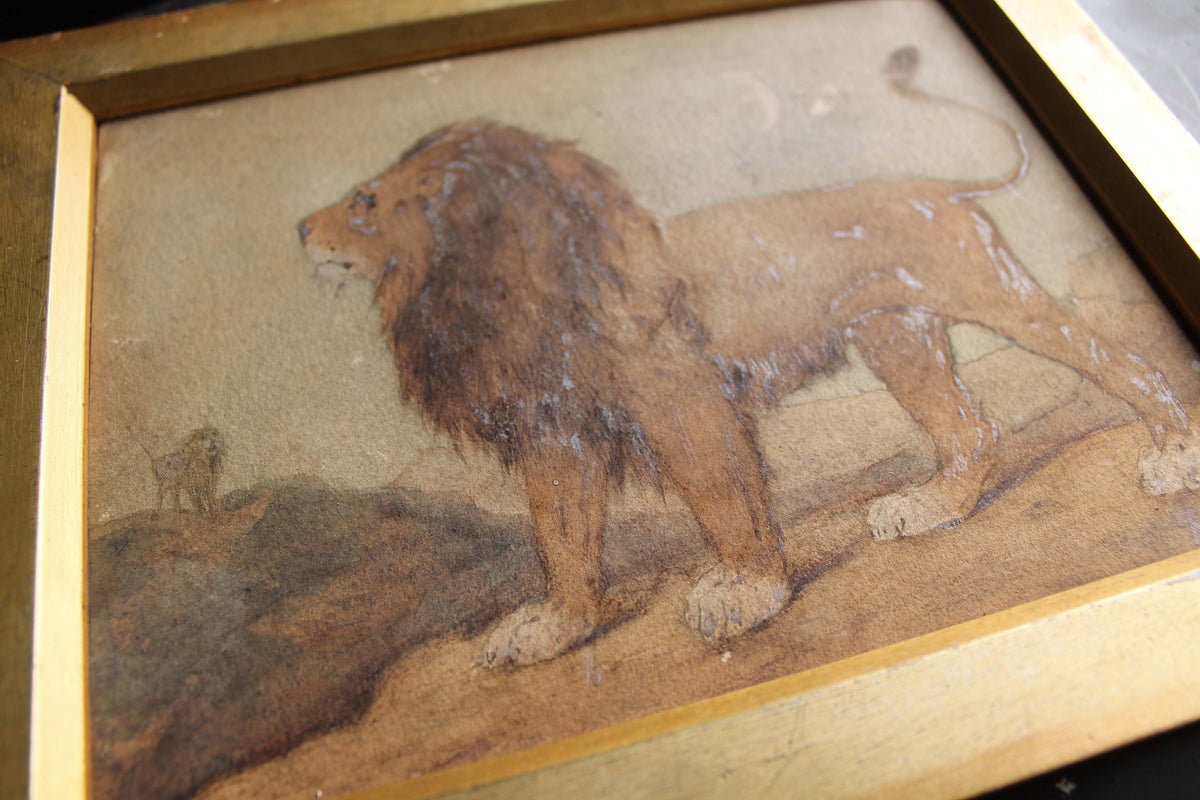 Early 20th c watercolour study of a lion