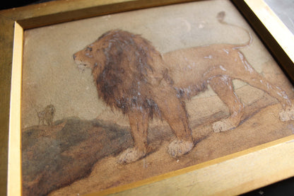 Early 20th c watercolour study of a lion