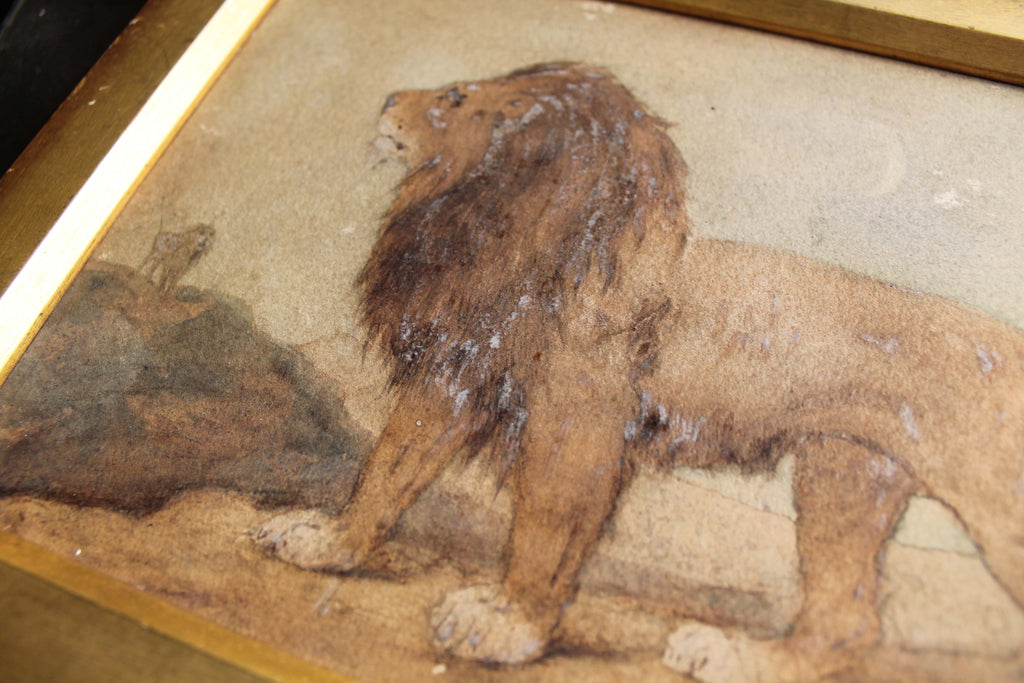 Early 20th c watercolour study of a lion