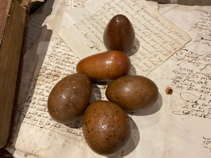 Group of 5 sculptural wooden eggs