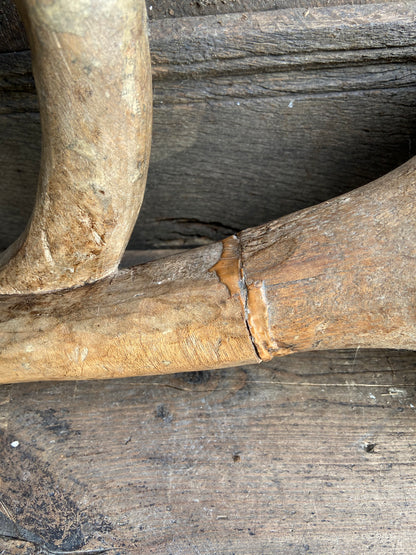 19th century sculptural wooden French horn