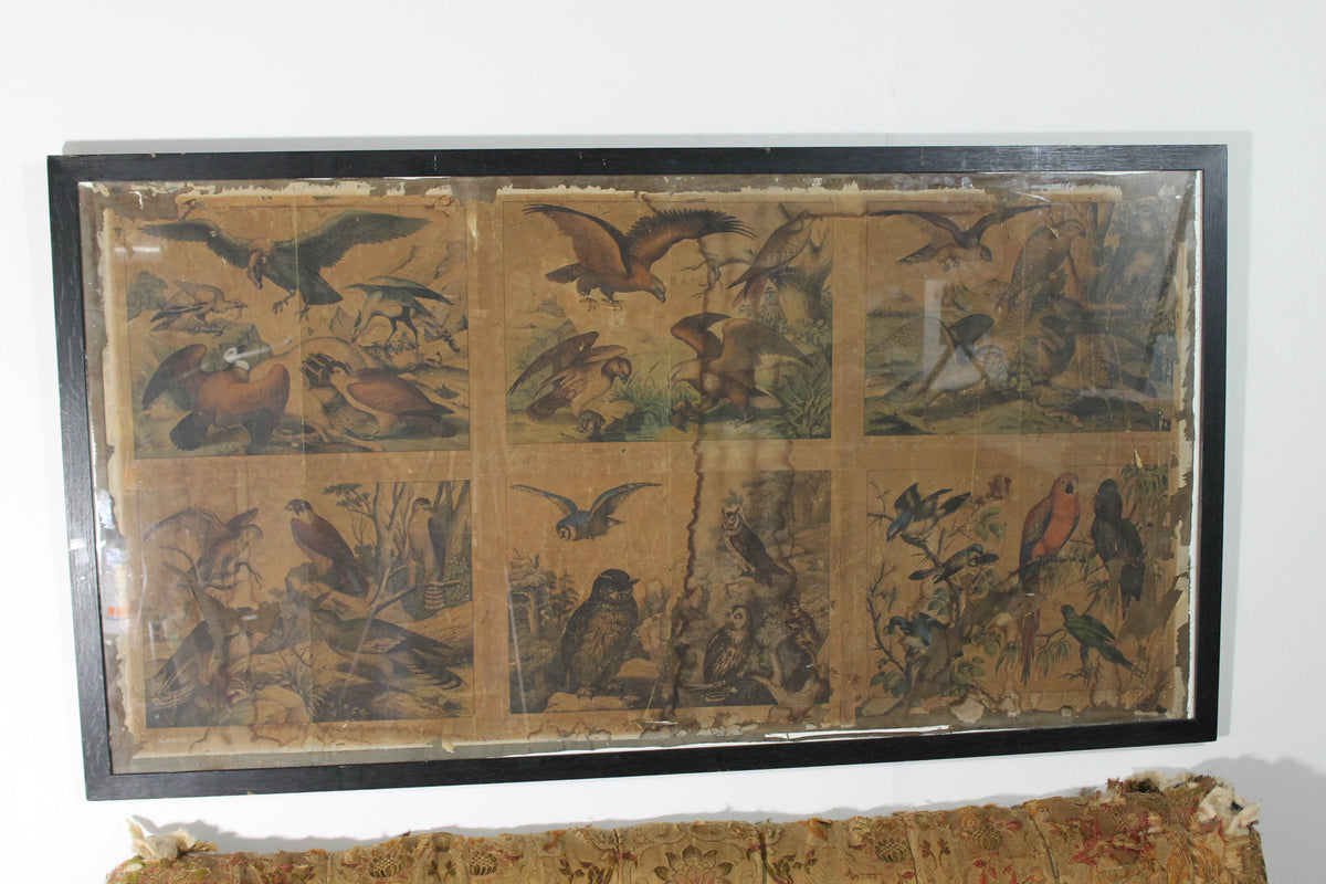 Regency ornothilogical studies laid onto silk