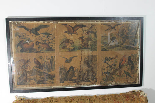 Regency ornothilogical studies laid onto silk