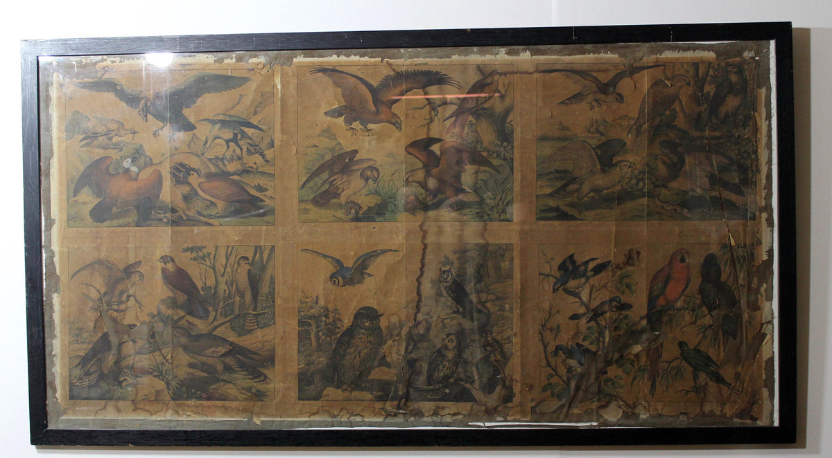 Regency ornothilogical studies laid onto silk