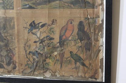 Regency ornothilogical studies laid onto silk