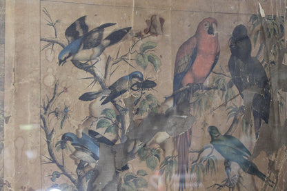 Regency ornothilogical studies laid onto silk