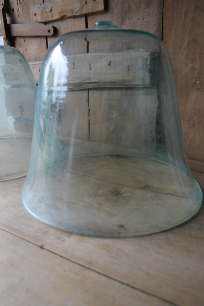 19th c French glass melon cloches