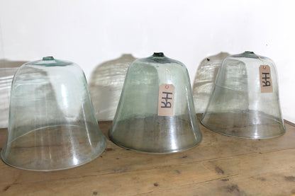 19th c French glass melon cloches