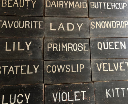 Collection of early 20th century dairy herd name boards from a Flintshire dairy farm