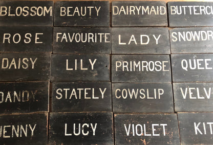 Collection of early 20th century dairy herd name boards from a Flintshire dairy farm