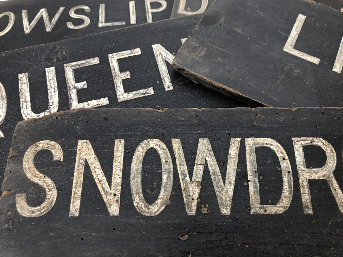Collection of early 20th century dairy herd name boards from a Flintshire dairy farm