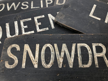 Collection of early 20th century dairy herd name boards from a Flintshire dairy farm