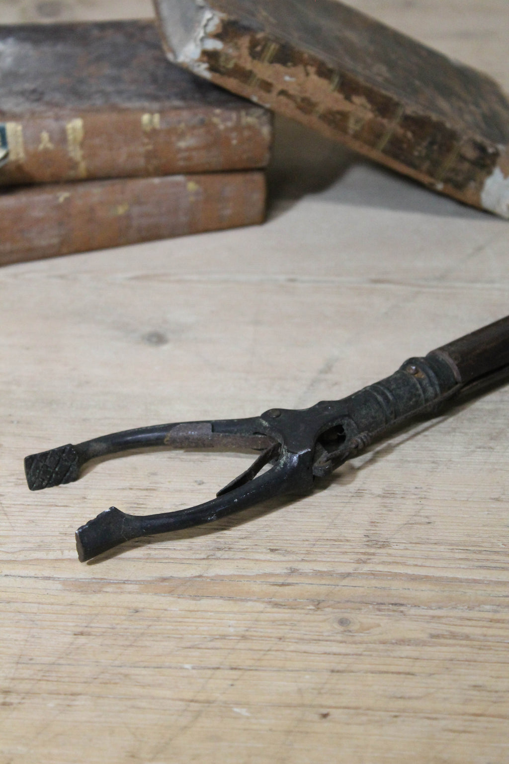 19th century library long arm