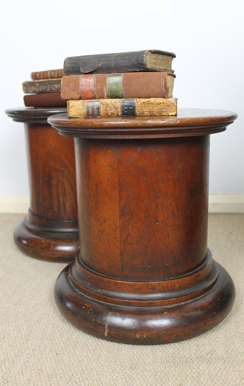 Excellent pair of 19th c Scottish plinths