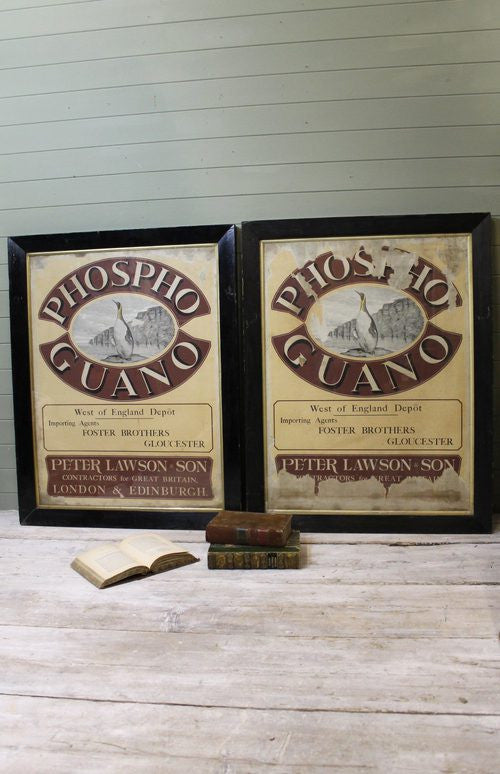 Rare pare of 1860s advertsing posters for Guano