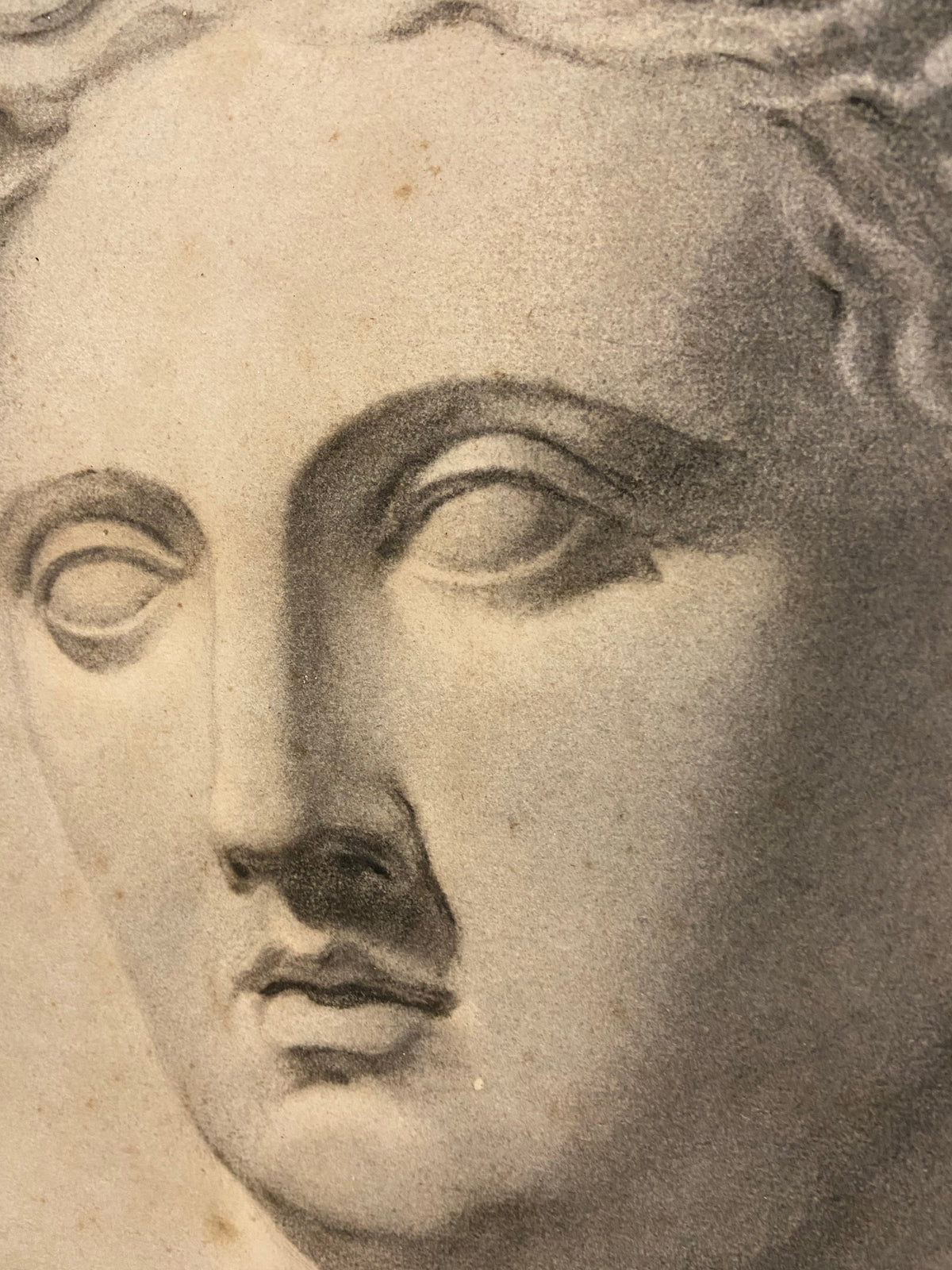 19th century study of a  marble bust in graphite, examined South Kensington