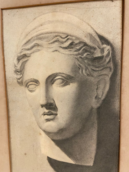 19th century study of a  marble bust in graphite, examined South Kensington