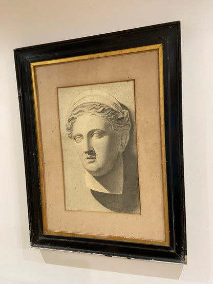 19th century study of a  marble bust in graphite, examined South Kensington