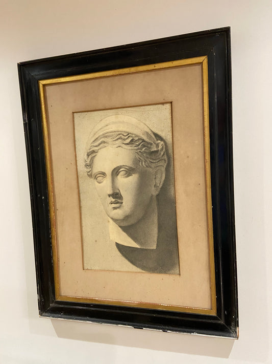 19th century study of a  marble bust in graphite, examined South Kensington