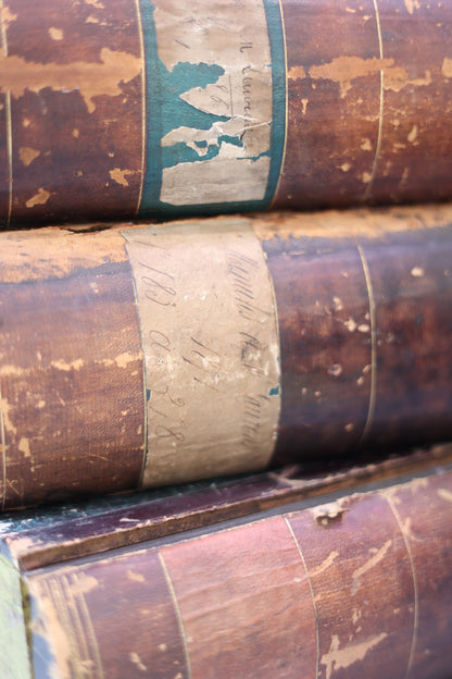19th century box files in the form of books - available individually